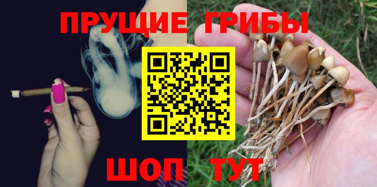 Дальнереченск  Псилоцибиновые грибы Cubensis  Вход с VPN 