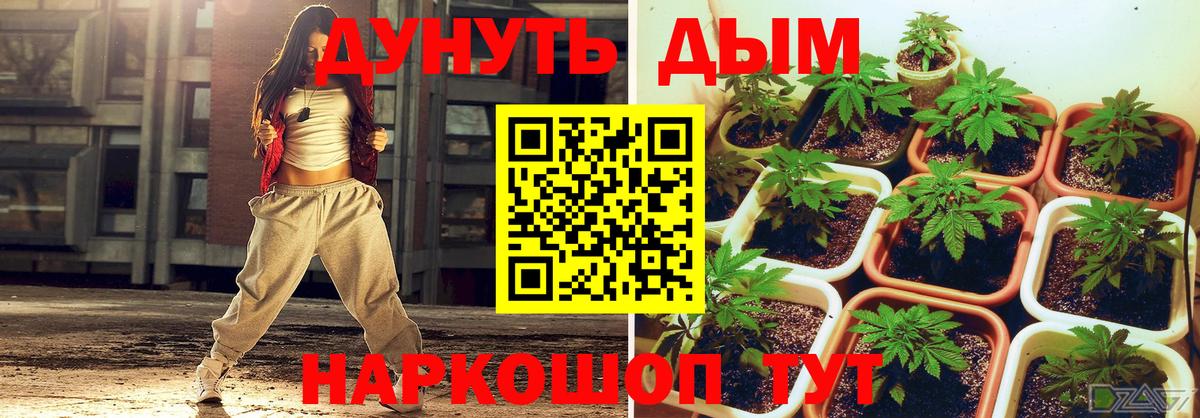 Марихуана LSD WEED  МАРИХУАНА планчик  Вход с VPN  Шишки марихуана MAZAR  Дальнереченск 